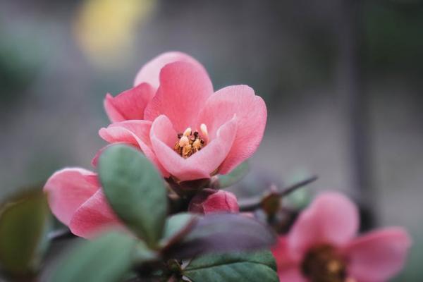 遼寧醫(yī)療保險(xiǎn)怎么交？一年交多少錢？