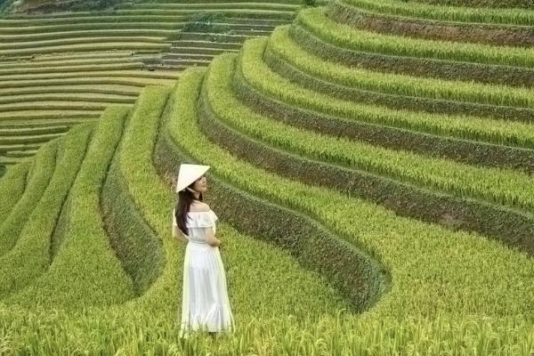 保險理賠賠給投保人還是被保險人？流程是怎樣的？