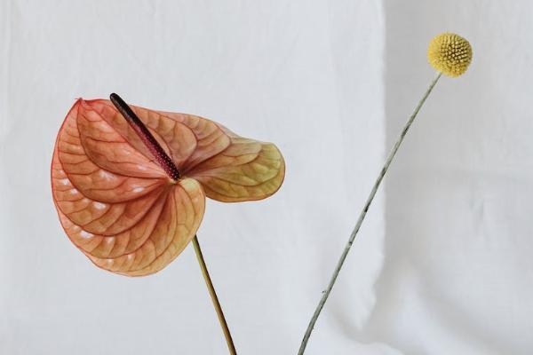 北京社保退保手續(xù)怎么辦理？一年多少錢？