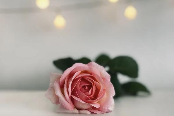 國壽附加康寧少兒兩全保險保什么？有必要買嗎？