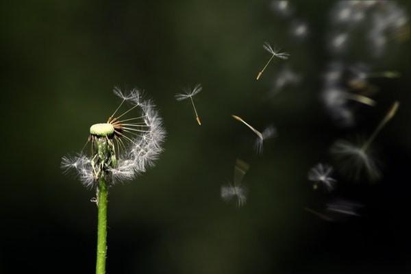 返還型保險(xiǎn)退保能退回多少錢？退保的流程有哪些？