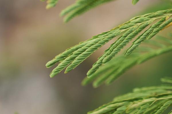 意外摔傷居民醫(yī)保報銷嗎？報銷多少錢？