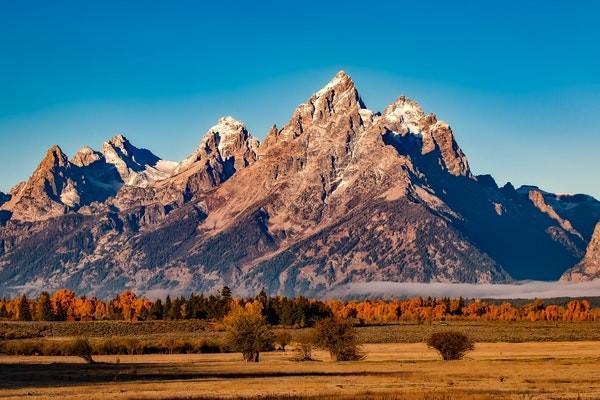太平洋金享人生終身壽險分紅型退保劃算嗎？有哪些流程？