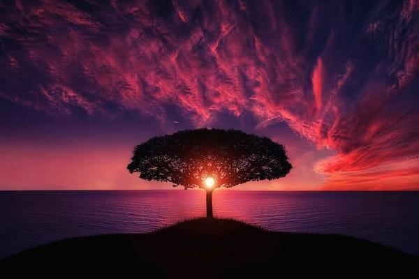 保險(xiǎn)退保之后生存金能拿到嗎？退保的流程有哪些？
