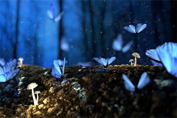 香港保險(xiǎn)只能用港幣支付嗎？怎么買？