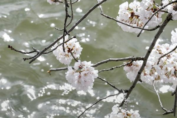 臻享一生終身壽險(xiǎn)好嗎？有哪些保障內(nèi)容？