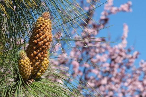 安心住院保險有哪些投保規(guī)則？保障范圍是怎樣的？