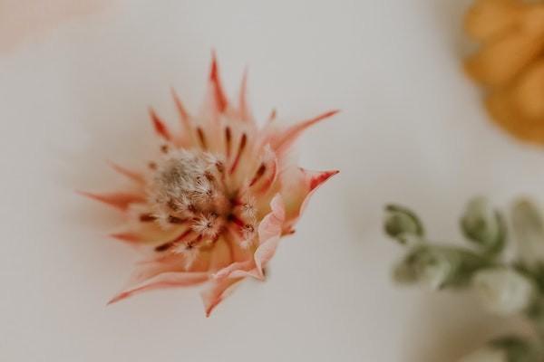 守衛(wèi)者5號(hào)投保的要求有哪些？有哪些亮點(diǎn)？