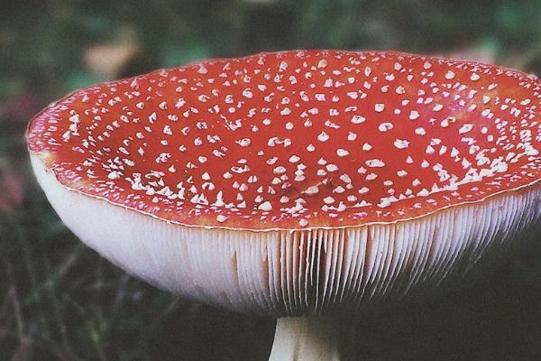 交了兩年商業(yè)保險(xiǎn)不想交了怎么退保？退保能退多少錢？