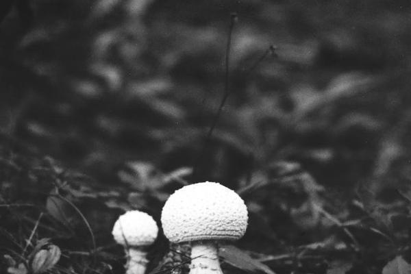 返還型保險(xiǎn)能不能退？退保劃算嗎？