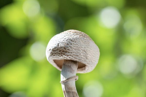 保險(xiǎn)公司多賠了錢給我要退嗎？理賠多久到賬？