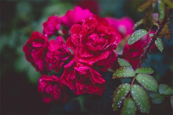 保險(xiǎn)公司貸款靠譜嗎？貸款利息是多少？