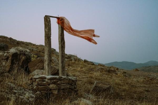 太平康頤金生b款終身壽險分紅型怎么樣？保障什么？