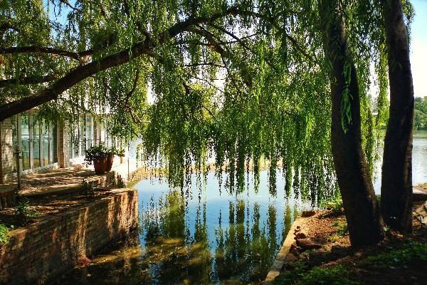 保險(xiǎn)到期了還能理賠嗎？理賠需要哪些材料？