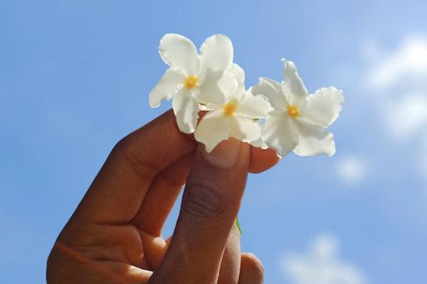 養(yǎng)老保險(xiǎn)是一年交一次嗎？一年交多少錢？