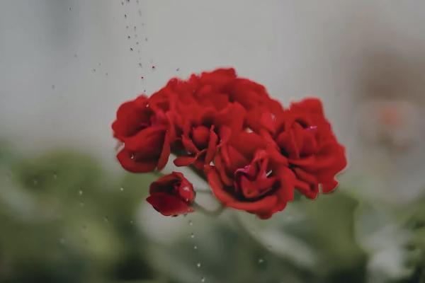 香港保險(xiǎn)人年輕意外死亡賠償標(biāo)準(zhǔn)是多少？流程是什么？