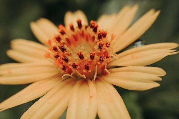 補充醫(yī)療保險與商業(yè)保險的區(qū)別是什么？哪個好？
