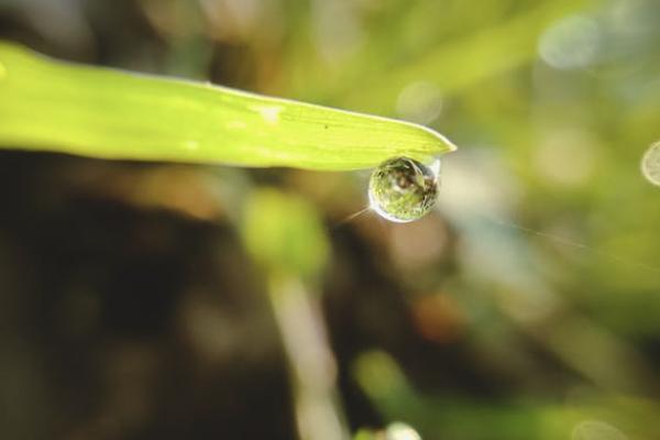 招商銀行醫(yī)療保險咋樣？值不值得買？