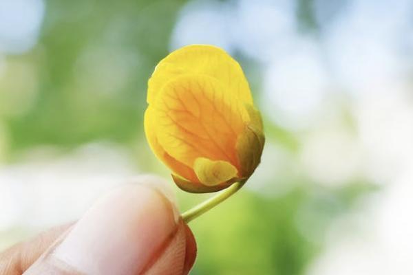 保險公司怎么知道投保人是否健康？理賠條件是什么？
