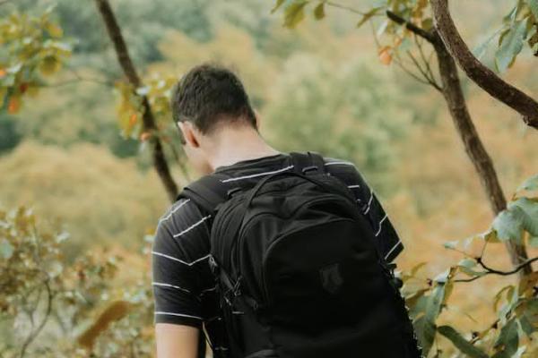保險是一次性賠付嗎？賠付流程是什么？