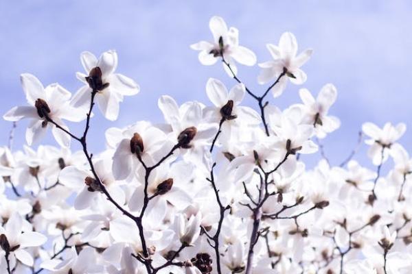 農(nóng)村醫(yī)療保險和職工醫(yī)療保險沖突嗎？有什么區(qū)別？