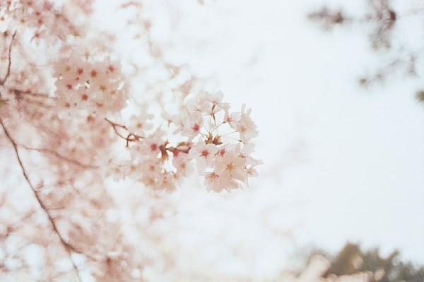 住院醫(yī)保報(bào)銷后人壽保險(xiǎn)還能報(bào)銷嗎？怎么報(bào)銷？