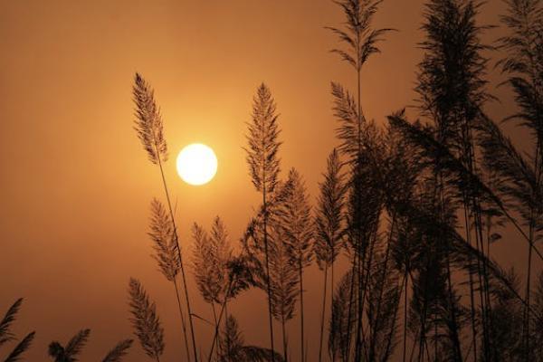 意外險(xiǎn)賠了公司還需要賠付嗎？賠付順序是怎樣的？