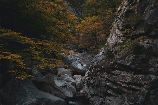 中國(guó)人壽百萬(wàn)如意行能退保嗎？怎么退？