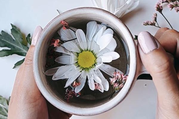 華泰保險e家保燃氣綜合保險范圍有哪些？多少錢？