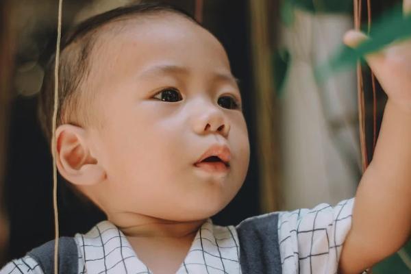 中郵退保自己的本金給嗎？去哪里退保？