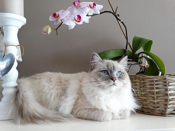 手機(jī)銀行猶豫期內(nèi)退保可以嗎？怎么操作？