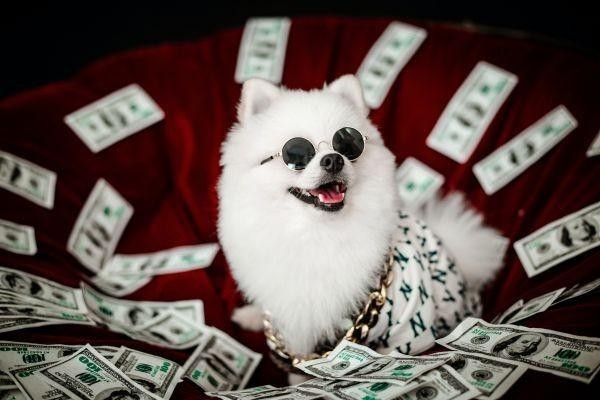 微粒貸欠款3萬會立案嗎，立案了會怎么樣