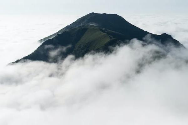 什么是期交保險？期交保險的優(yōu)點(diǎn)是什么？
