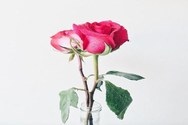 友邦保險(xiǎn)買(mǎi)了幾年能退多少？退保進(jìn)度怎么查詢(xún)？