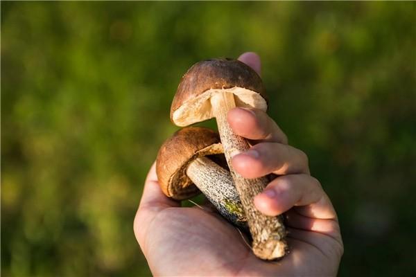 富德生命康健無憂a款怎么樣？保障什么？