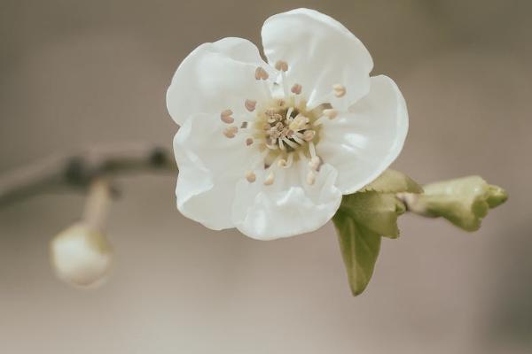 單位交商業(yè)保險(xiǎn)是什么意思？有什么好處？