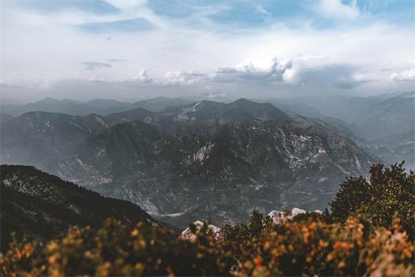 商業(yè)險(xiǎn)未生效退保再買(mǎi)可以嗎，怎么退