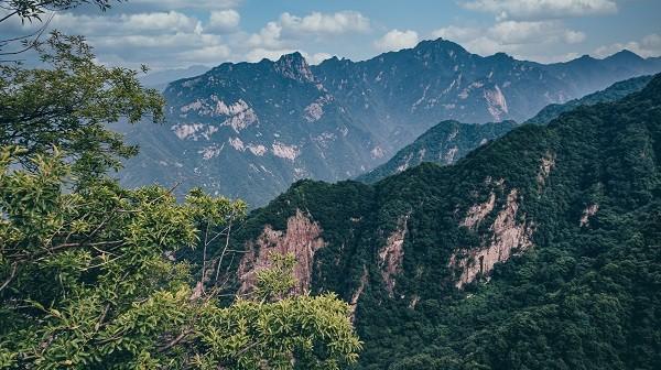 星巴克父母重疾險(xiǎn)靠譜嗎？怎么報(bào)銷？