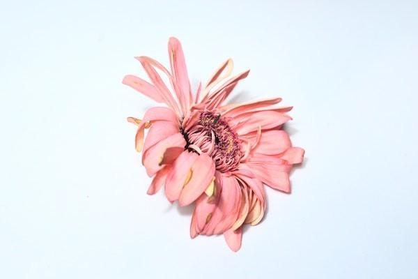 重疾險(xiǎn)你可能白買了是怎么回事？一般需要多少錢？