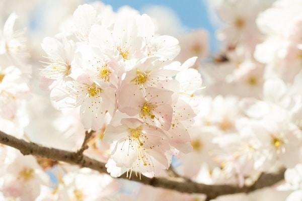 百萬醫(yī)療保險產(chǎn)品推薦哪些？多少錢？