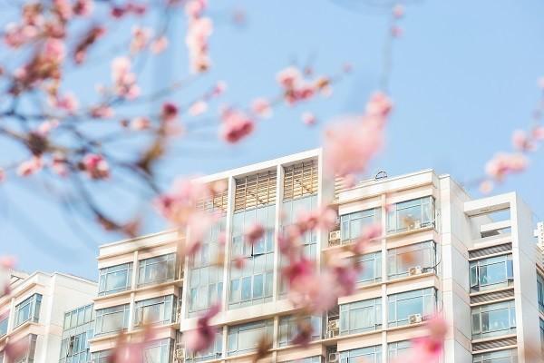 深圳學(xué)生5元意外險(xiǎn)保障范圍是什么？深圳學(xué)生5元意外險(xiǎn)怎么買(mǎi)？