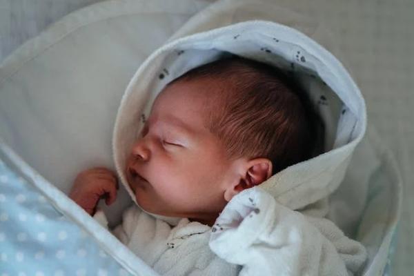 人保在線如何退保，退保需要哪些材料呢