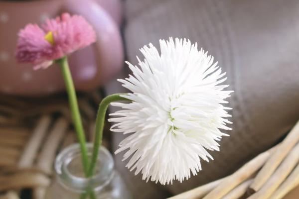 大額醫(yī)療補(bǔ)充保險(xiǎn)什么意思？大額醫(yī)療補(bǔ)充保險(xiǎn)的報(bào)銷范圍是什么？