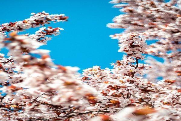 意外猝死意外險(xiǎn)賠不賠？有必要購(gòu)買(mǎi)嗎？