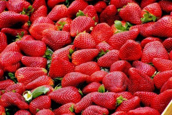 走了醫(yī)保還能走意外險嗎？意外險可以報銷多少錢？
