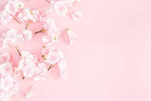 英國(guó)保誠(chéng)保險(xiǎn)怎么樣？信用評(píng)級(jí)怎么樣？