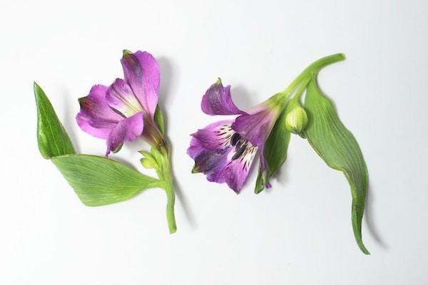 醫(yī)?？梢跃W(wǎng)上退保嗎？退保的條件有哪些？
