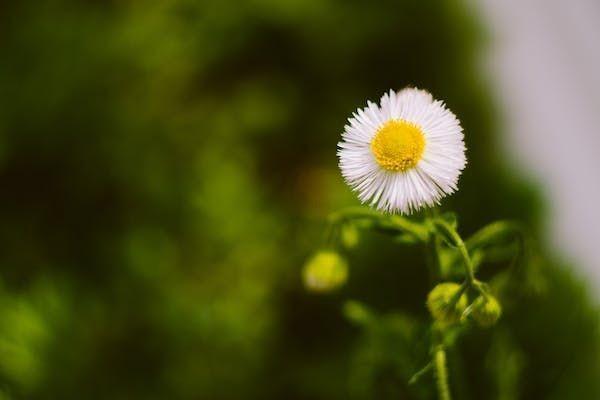 短期高空作業(yè)意外保險(xiǎn)推薦哪一款？保費(fèi)是多少？