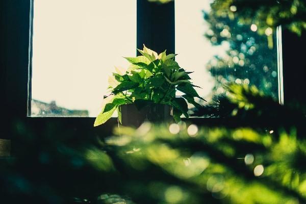 太平保險交了兩年能退多少，退保流程是什么