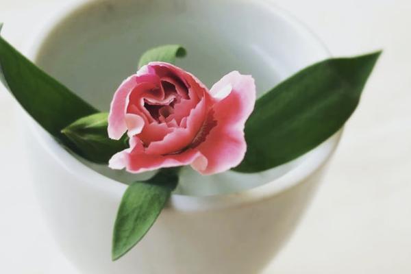 平安金管家里怎么退款？退保能退多少？